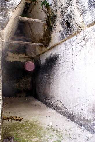 fg000312.jpg