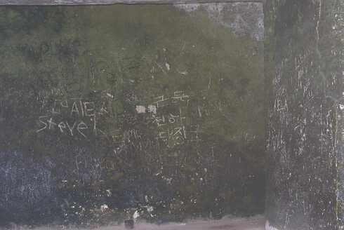 fg000314.jpg