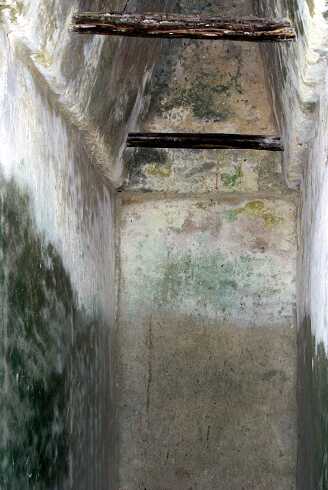 fg000315.jpg