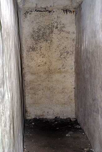 fg000317.jpg