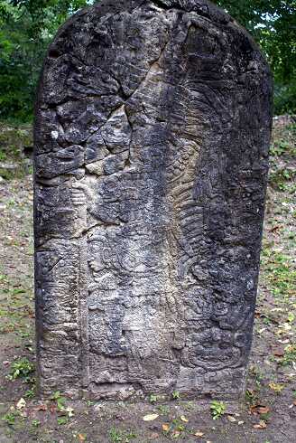 fg000321.jpg