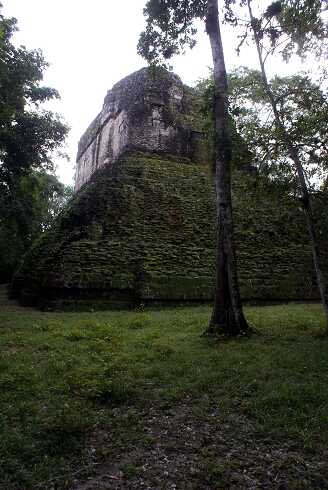 fg000329.jpg