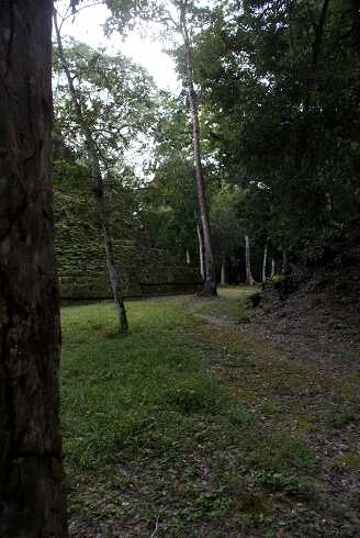 fg000330.jpg