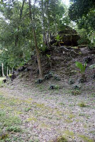 fg000331.jpg