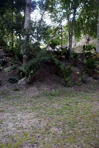 fg000332.jpg