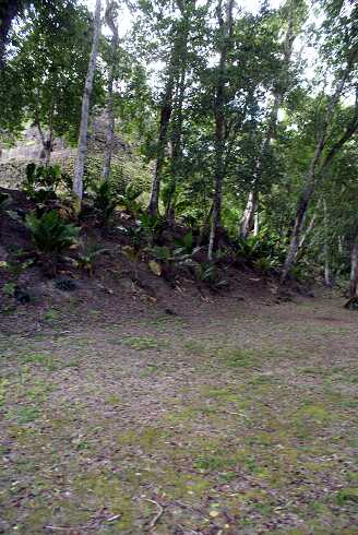 fg000333.jpg