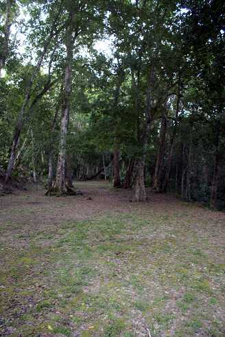 fg000334.jpg