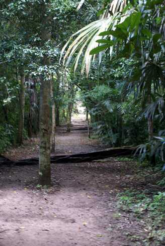 fg000336.jpg