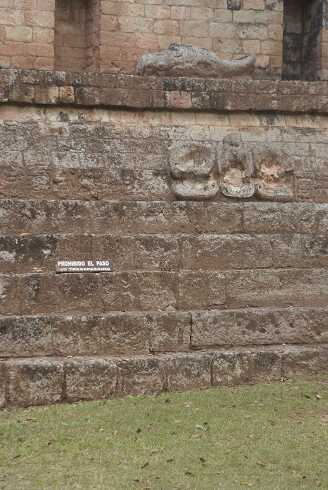 fg000368.jpg