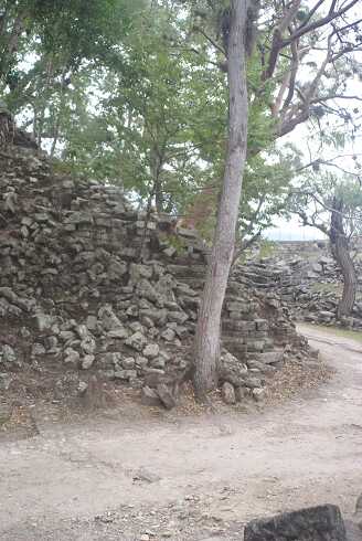 fg000386.jpg