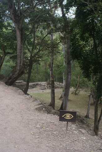 fg000390.jpg