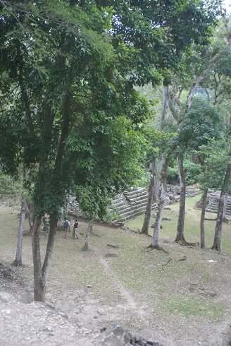 fg000391.jpg