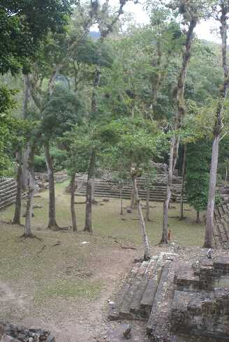 fg000392.jpg