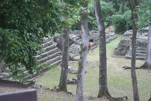 fg000394.jpg
