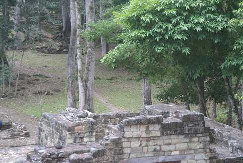 fg000397.jpg