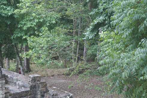 fg000398.jpg