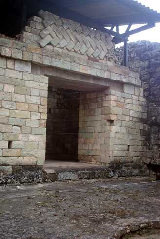 fg000431.jpg