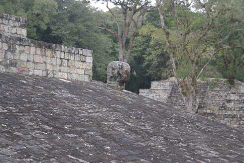fg000469.jpg