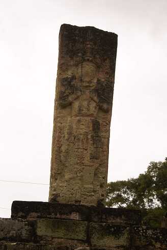 fg000471.jpg