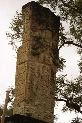 fg000472.jpg