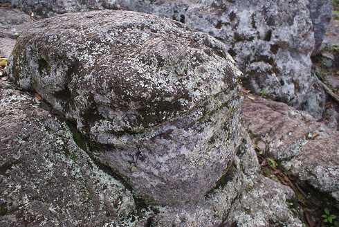 fg000607.jpg