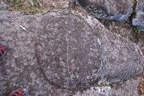fg000610.jpg