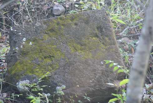fg000612.jpg