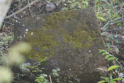 fg000613.jpg