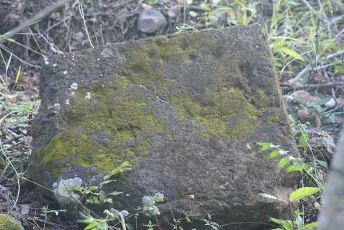 fg000614.jpg
