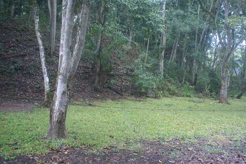 fg000622.jpg