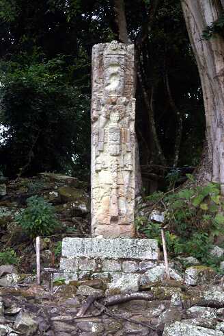 fg000631.jpg