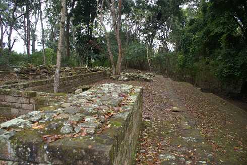 fg000644.jpg