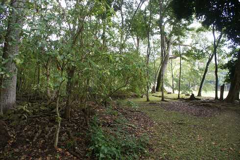 fg000651.jpg
