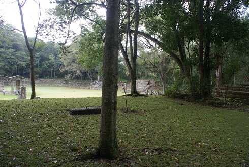 fg000653.jpg