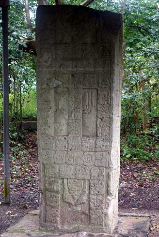 fg000663.jpg