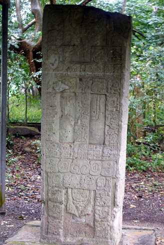 fg000664.jpg