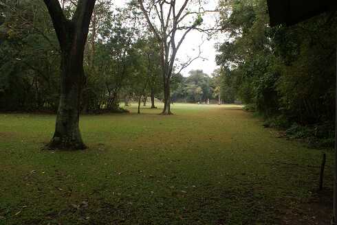 fg000669.jpg