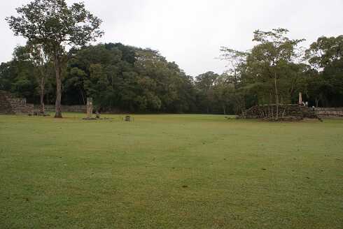 fg000695.jpg