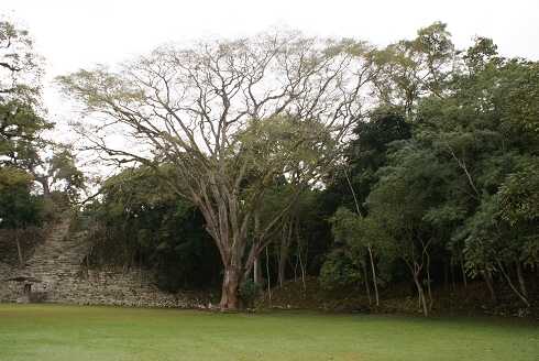 fg000701.jpg