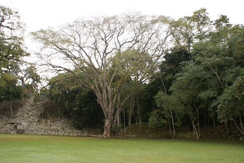 fg000702.jpg