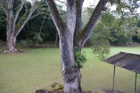 fg000713.jpg