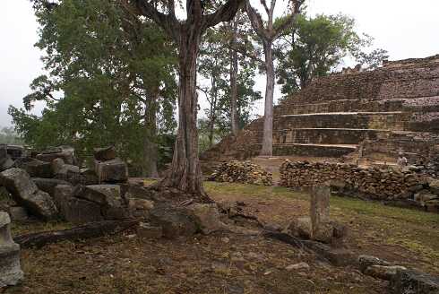 fg000729.jpg