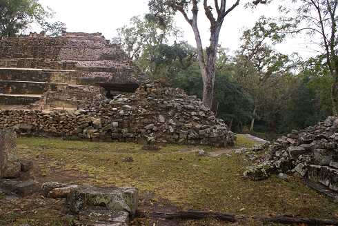 fg000730.jpg