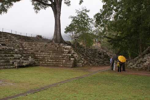 fg000781.jpg