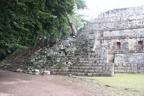 fg000796.jpg