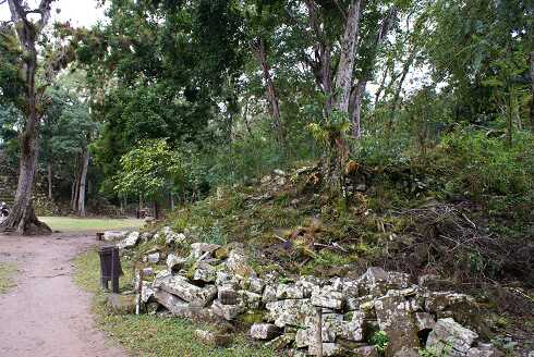 fg000799.jpg