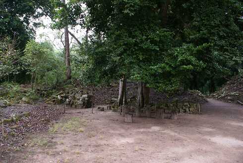 fg000801.jpg