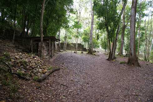 fg000802.jpg