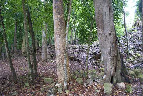 fg000805.jpg
