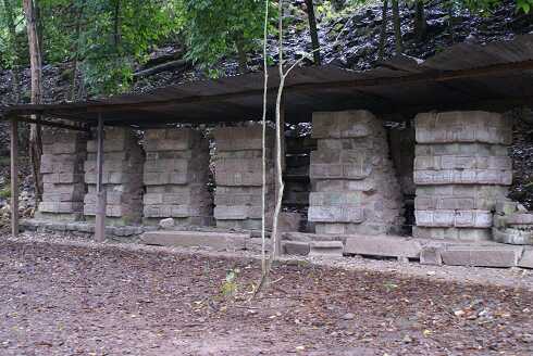 fg000807.jpg